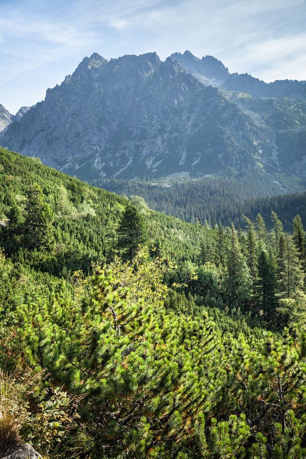 View of High Tatra Mountains from hiking trail.