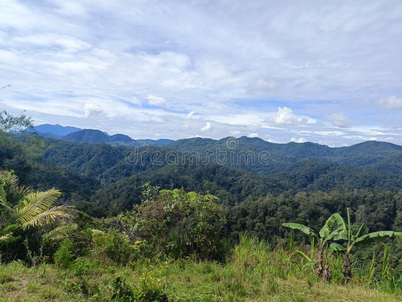 View hill is so awesome and blue sky at my village stock photos
