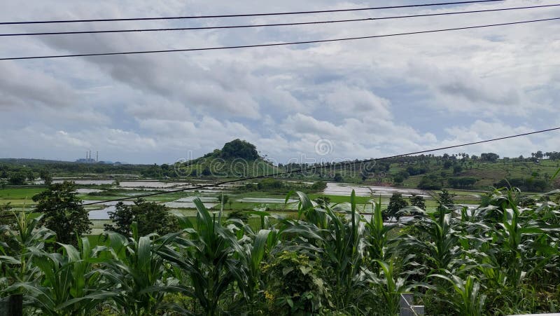 View hill with green plant royalty free stock photography