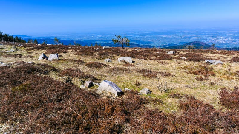 view-from-the-hornisgrinde-mountain-over-the-high-moor-in-the-rhine