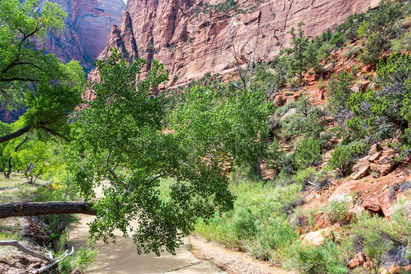 View Inside Zion Canyon stock photo. Image of outdoors - 80087160