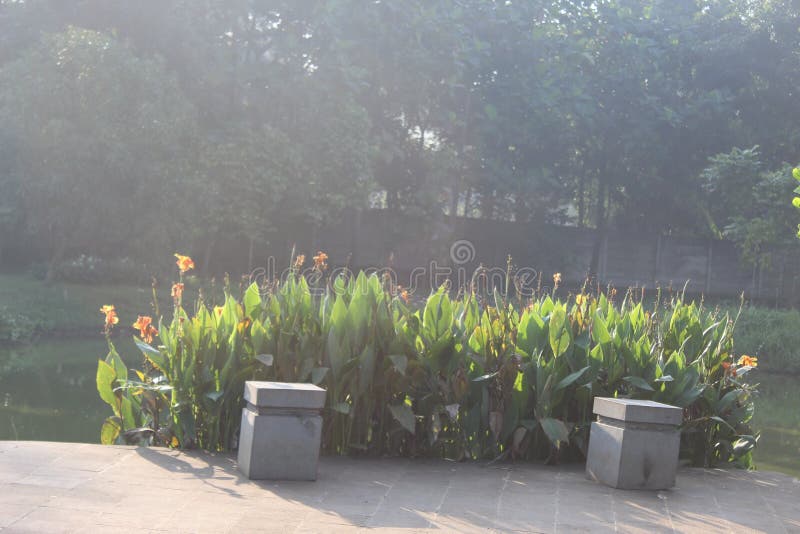 The View in the Jakarta City Park Stock Image - Image of energy, blue