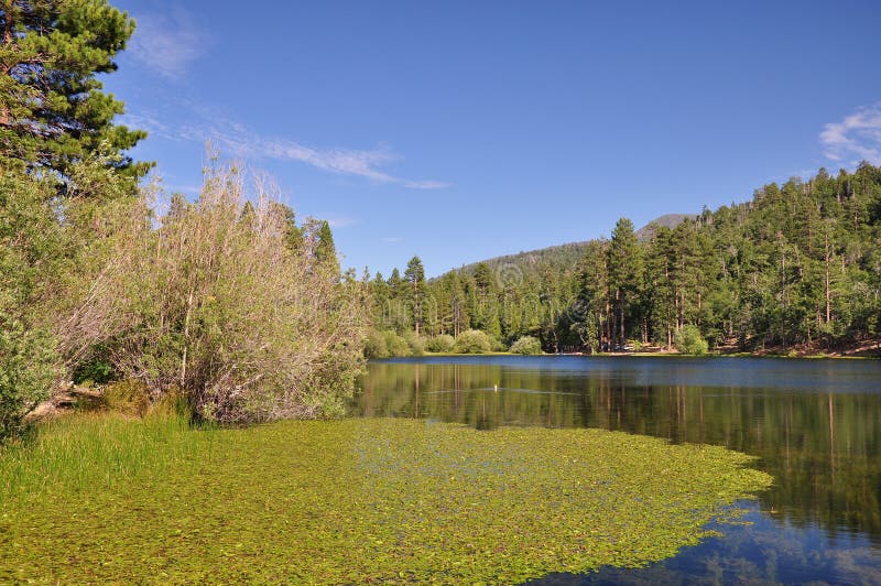 View of Jenks Lake stock photo. Image of peaceful, ponderosa 20795394