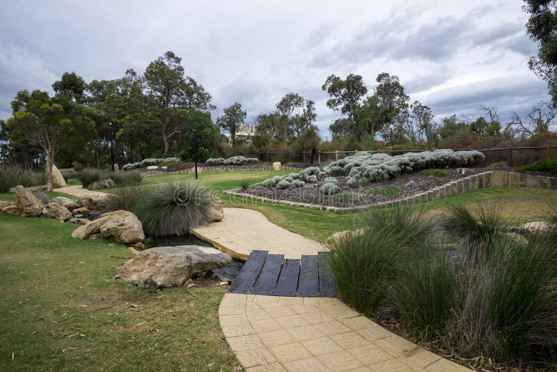 A View of Joondalup Central Park Stock Photo Image of tree, central