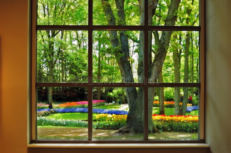 View at the Keukenhof Garden