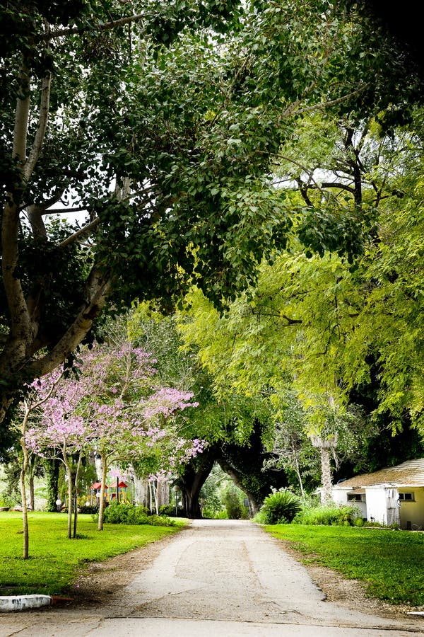 View of Kibbutz Kfar Glikson, Israel