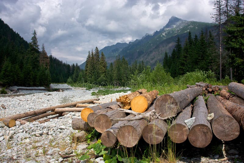 Z rieka, vysoký tatry, slovensko.