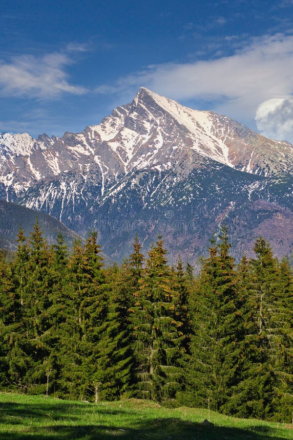View at Krivan peak from Podbanske