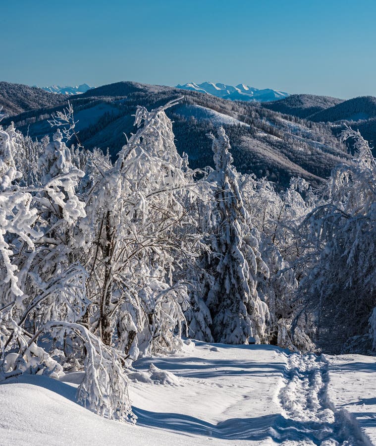 View from Kykula Hill in Winter Kysucke Beskydy Mountains on Polish ...