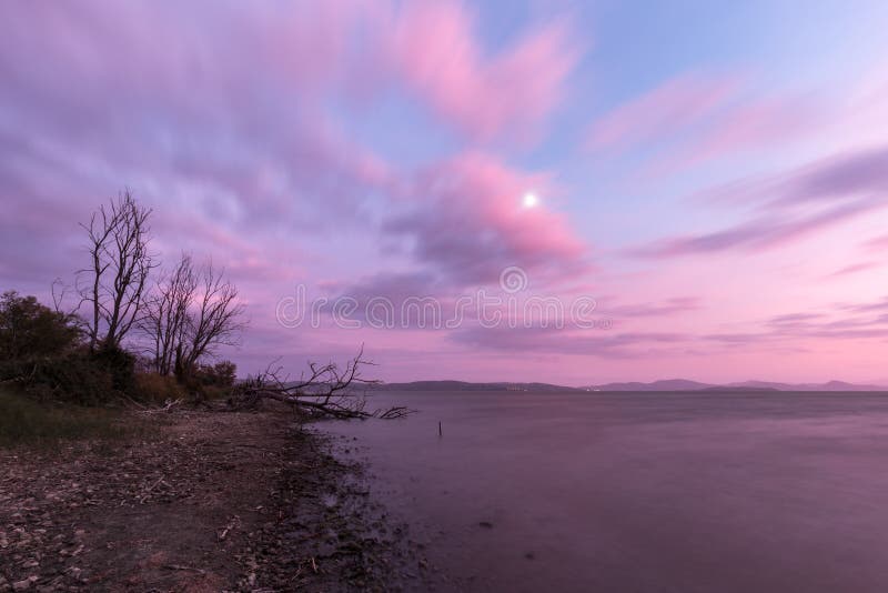 View of a lake shore at sunset, with plants, trees,beautiful pu stock photos View of a lake shore at sunset, with plants, trees,beautiful pu stock photos
