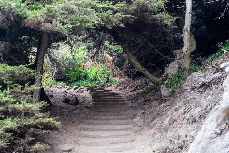 The view in Lands End, San Francisco. summer , cloud , rock , sea, plant.