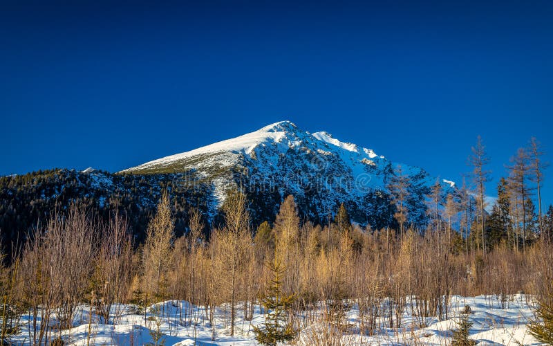 View of the landscape with snowy mountains