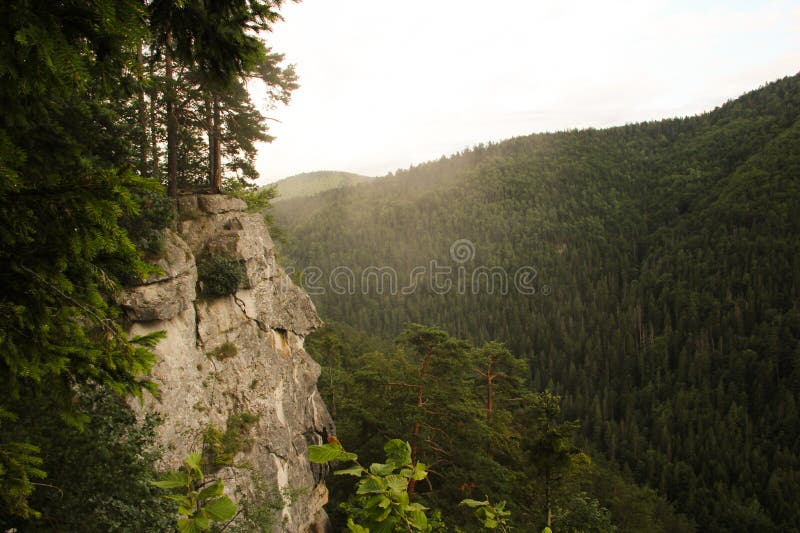 Pohľad na veľkú skalu a horský les pokrývajúci to všetko okolo