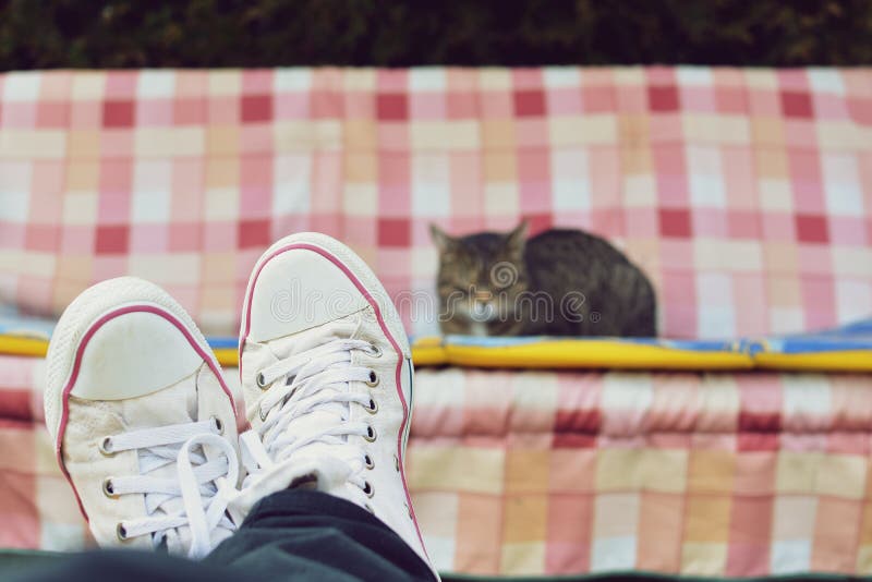 View of legs and a domestic cat on swing. View of legs and a domestic cat on swing