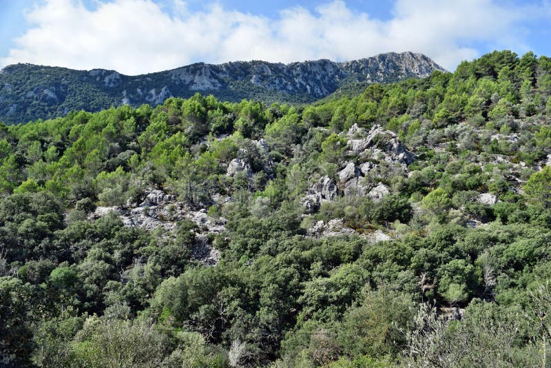 View of the Lluc Mountains on the Way To the SA Calobra Stock Image ...