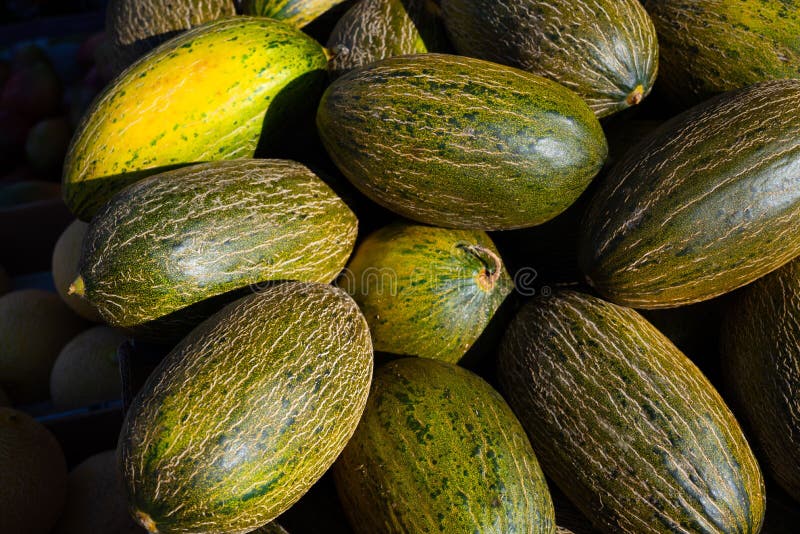 View of the many melons stock image. Image of view, healthy 254682415