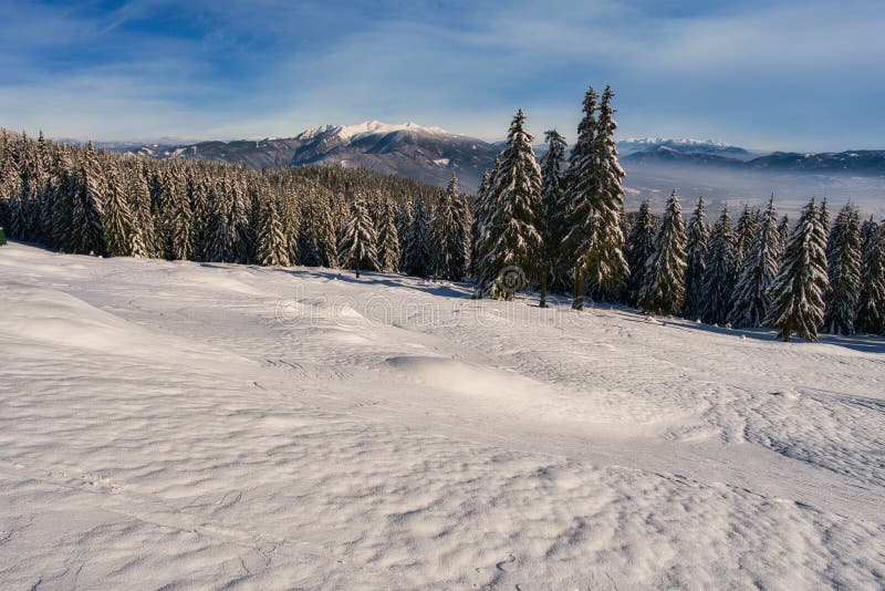 View from from meadow under Dlha Luka hill on Mala Fatra mountains  near Martinske Hole