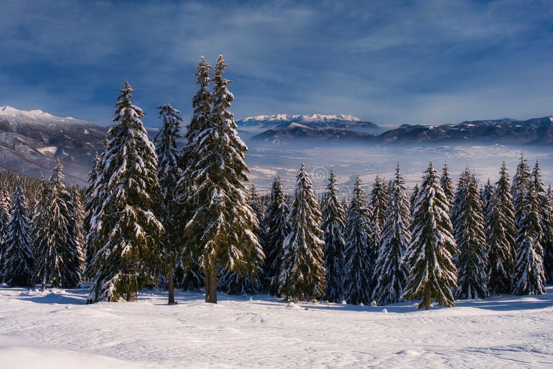 View from from meadow under Dlha Luka hill on Mala Fatra mountains  near Martinske Hole