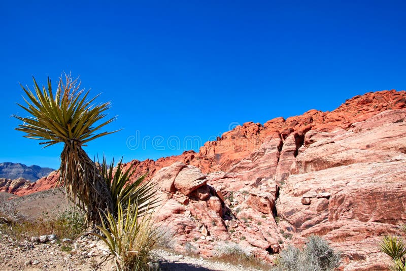 View of Mojave Desert.