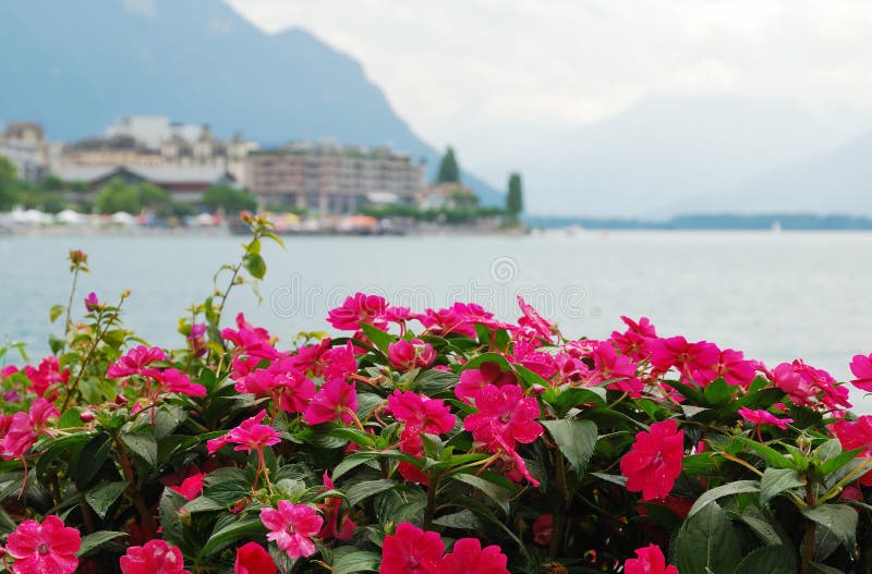 View of Montreux.