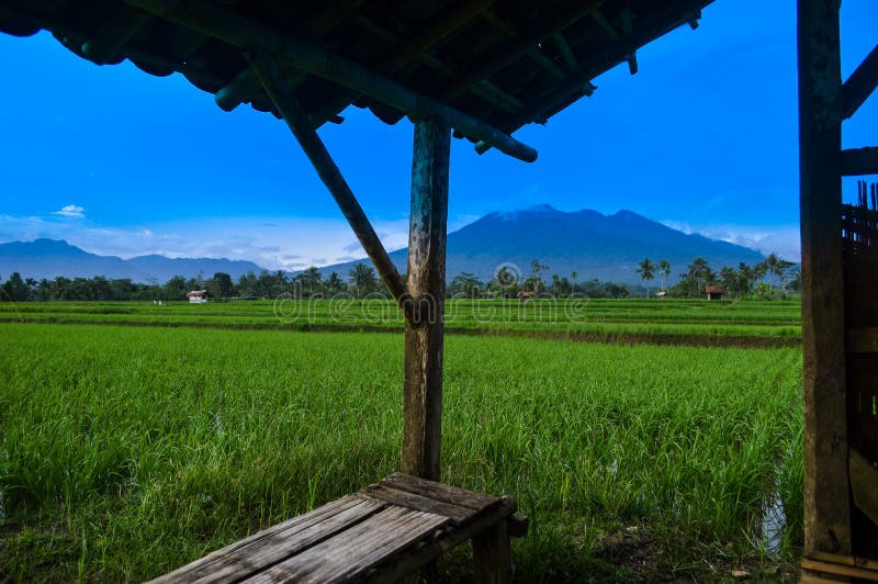 View of Mount Galunggung and rice fields in Tasikmalaya Regency, Indonesia