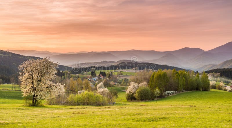 Pohled na horské pole a louku