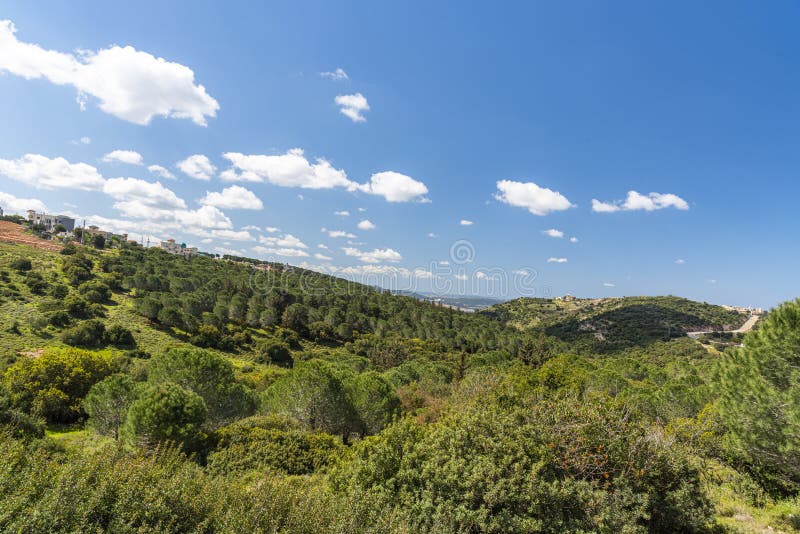 A view of a mountain range of a green forest against a dramatic back of blue sky with clouds. Travel concept hiking. A royalty free stock photo