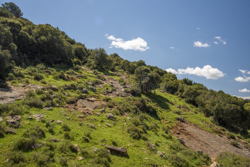 A view of a mountain range of a green forest against a dramatic back of blue sky with clouds. Travel concept hiking. A royalty free stock photo