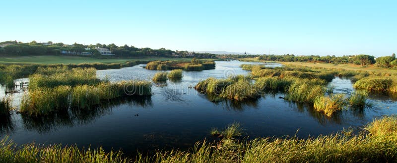 natural marshlands