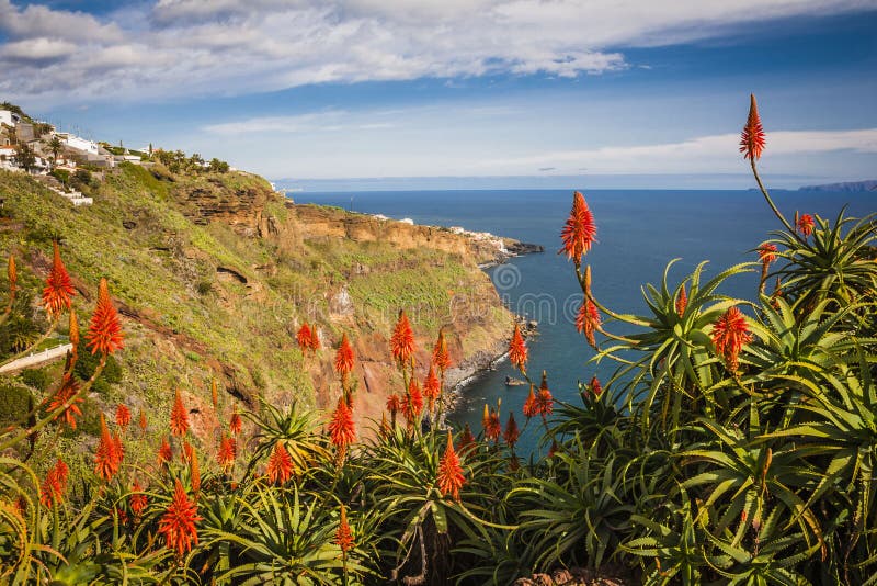 view near Funchal town, Madeira island, Portugal
