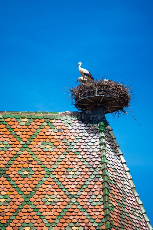 View of a nest with storks, symbol of the historic town of Colmar, also known as Little Venice, Colmar, Alsace.