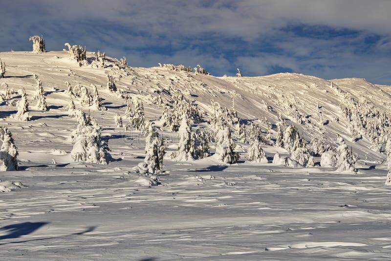Pohľad z Ondrejskej Hole v Nízkych Tatrách so zamrznutými smrekmi