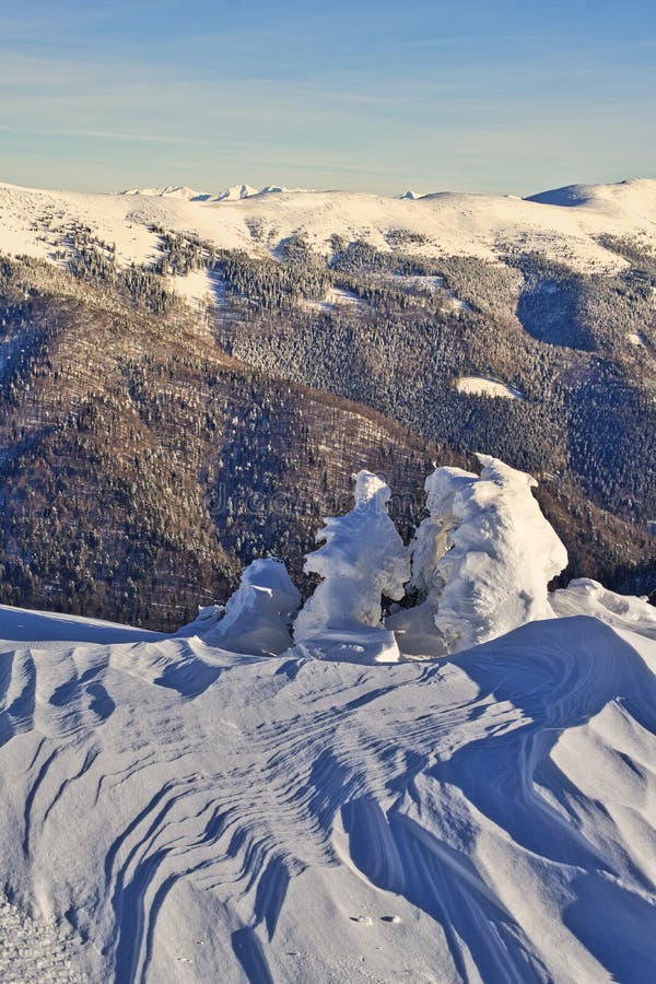 Pohľad z Ondrejskej Hole v Nízkych Tatrách so zamrznutými smrekmi