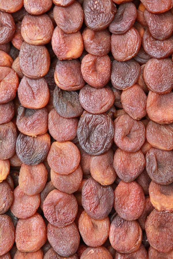 Organic Apricot of Malatya, Turkey. Stock Image Image of health, tree