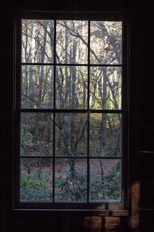 View Out of an Old Cabin Window at Bare Trees and Rhododendrons Stock ...