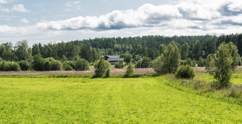 View over green meadows and Agricultural fields along the Swedish countryside, Borka, Gavleborgs Lan, Sweden