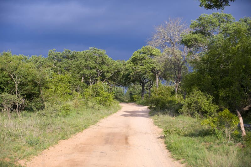 View over Kruger National Park