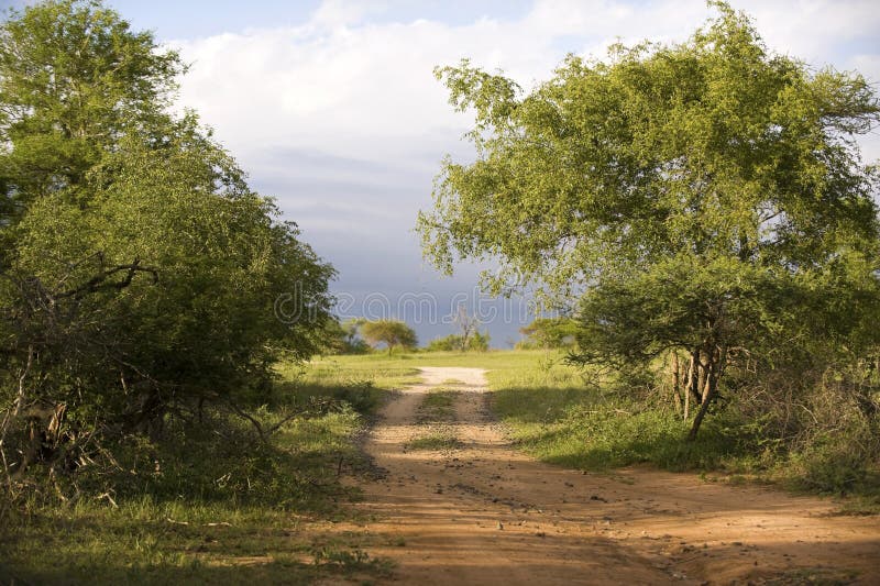 View over Kruger National Park