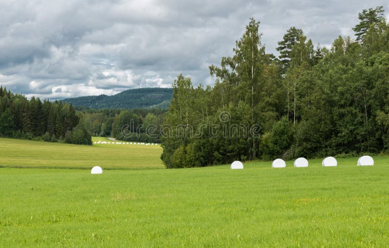 View over the Swedish countryside around Segersta with Agricultural fields, trees, grass and wheetfields, Segersta, Sweden