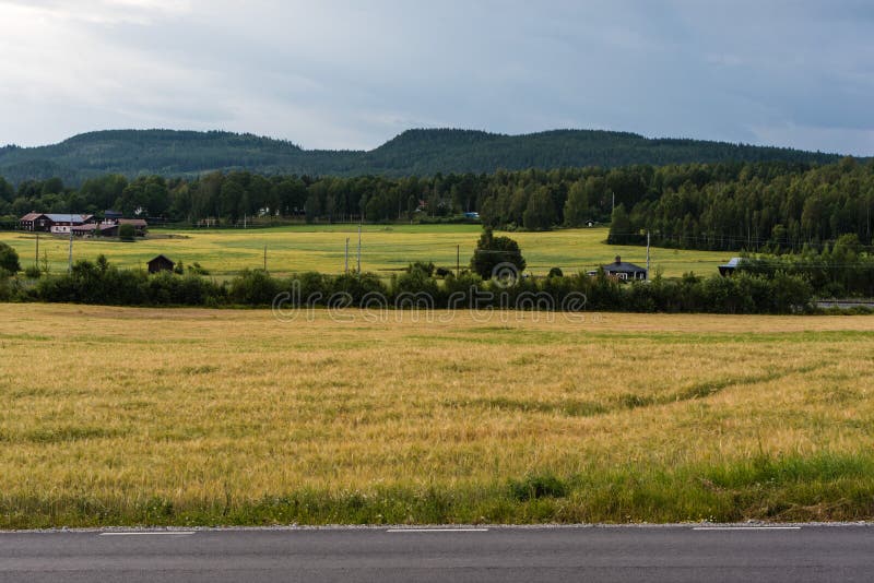 View over the Swedish countryside around Segersta with Agricultural fields, trees, grass and wheetfields, Segersta, Sweden