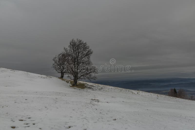 View from Pansky Diel hill for Banska Bystrica city