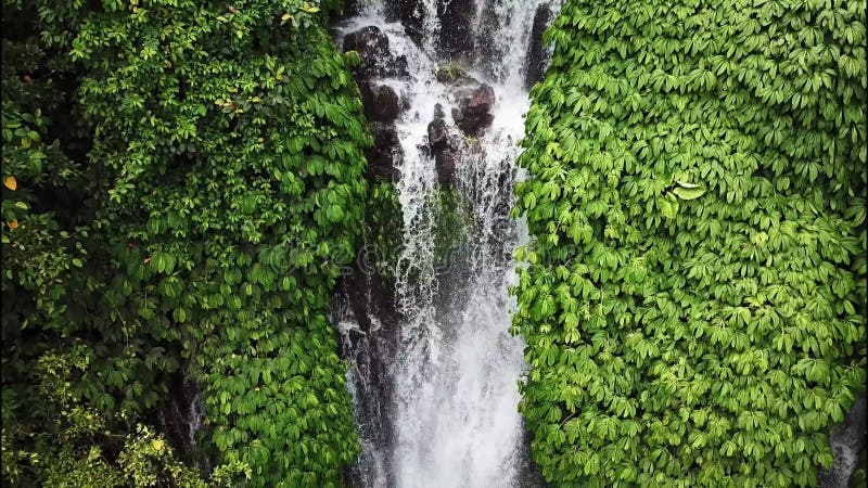 A view of the part of Sekumpul Waterfall in the jungle, Bali, Indonesia