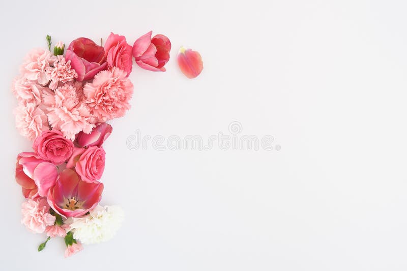 View of pink spring flowers on white background with copy space