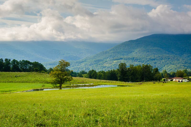 View Of A Pond And Mountains In The Rural Potomac Highlands Of West