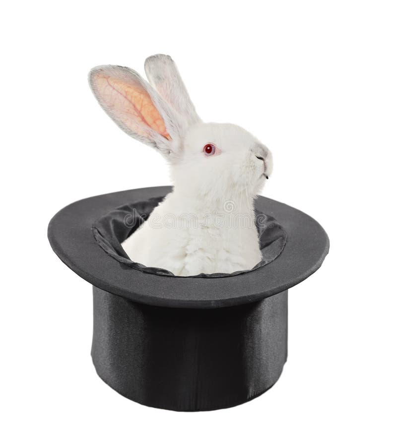 A View of a Rabbit in a Top Hat Stock Photo Image of garment, fuzzy