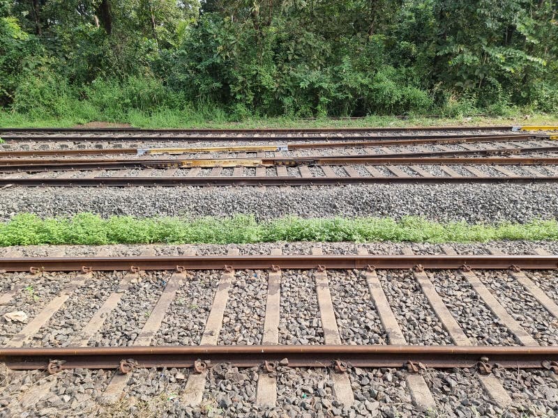 318 Kerala Railway Stock Photos Free & RoyaltyFree Stock Photos from