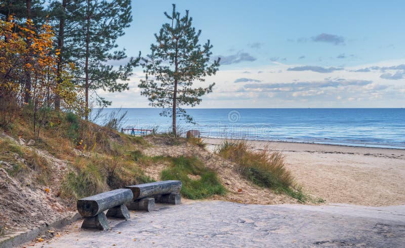 View on sandy beach, dune and pine forest in Jurmala, Latvia