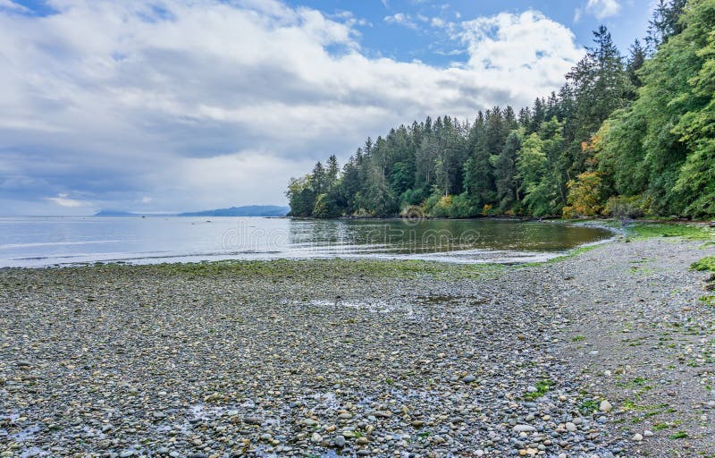 Pillar Point Shoreline 3 stock photo. Image of washington 233000694