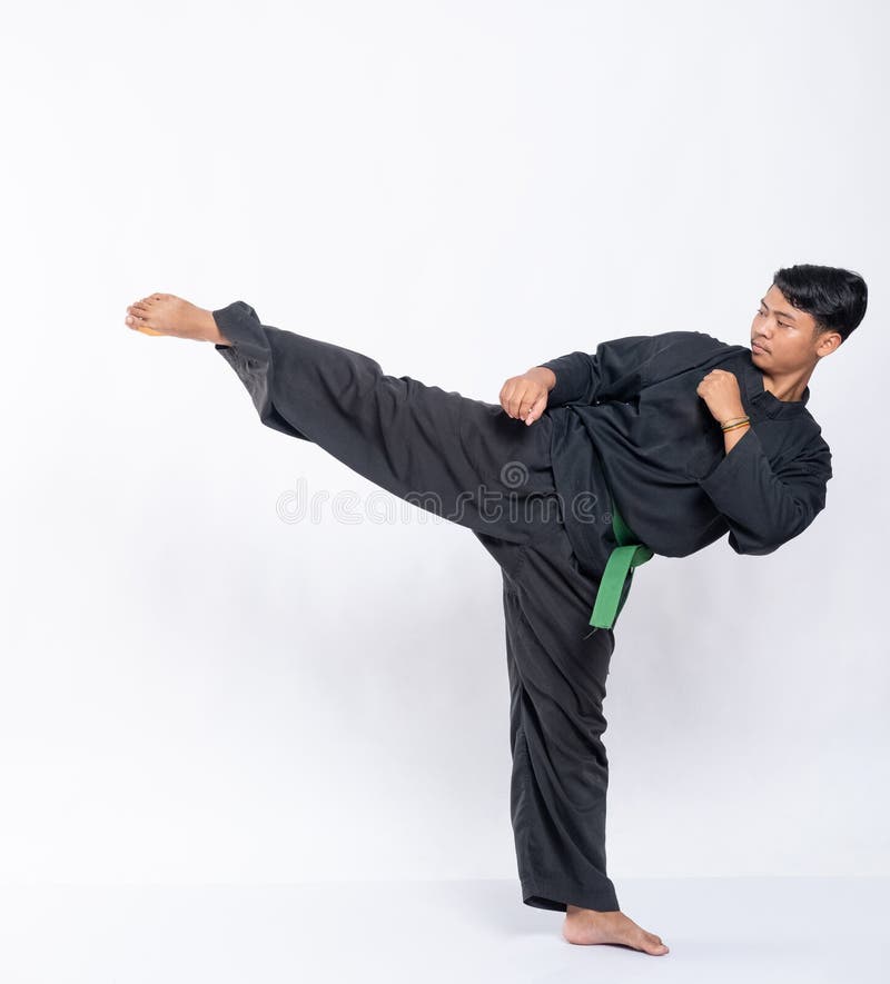 103 Pencak Silat Fight Stock Photos Free & RoyaltyFree Stock Photos