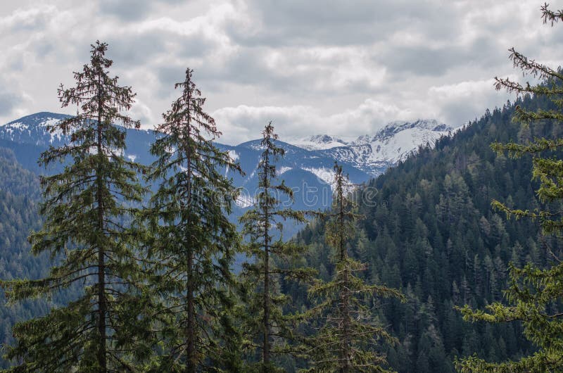 Landscape view of snowy Jasna Low Tatras mountain in May